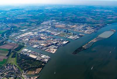 Birdview Haven april 2025